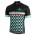 BIANCHI MILANO Codigoro Wielershirt Korte Mouw
