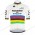 Deceuninck Quick Step 2020 UCI World Champion Fietsshirts Korte Mouws SSMGG