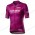 Giro D'italia 2020 Men Fietsshirts Korte Mouw Blue ZNWMF
