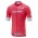 Giro D'Italia 2018 Rosa Wielershirt Korte Mouw